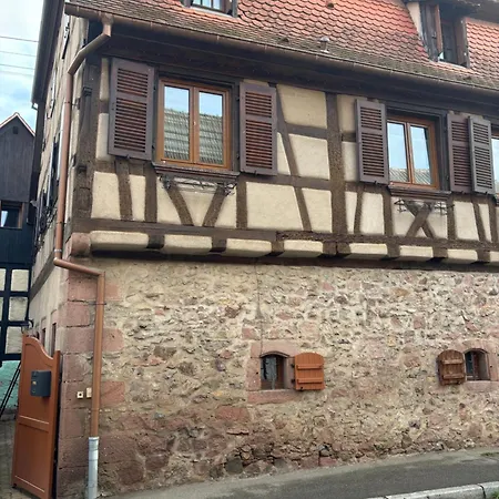 Des Cigogneaux *