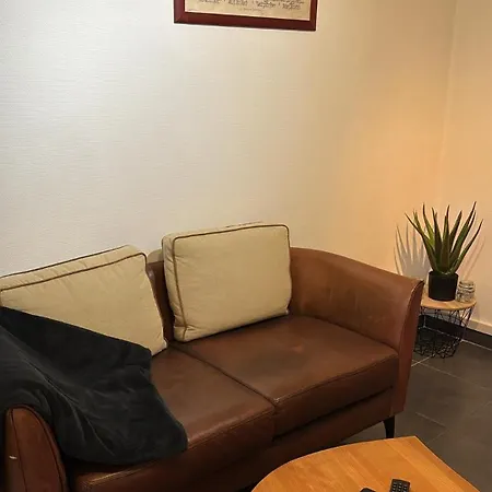 Des Cigogneaux Kintzheim