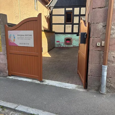 Des Cigogneaux
