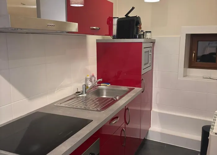 Daire Des Cigogneaux Kintzheim