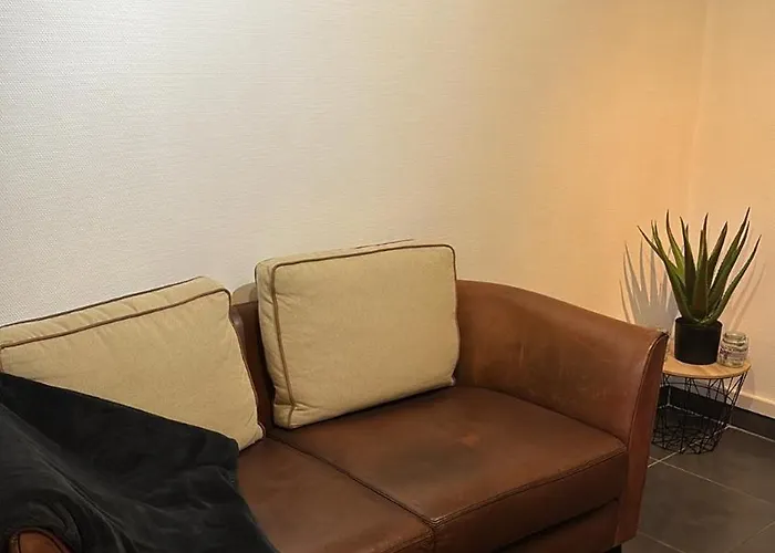 Des Cigogneaux Kintzheim