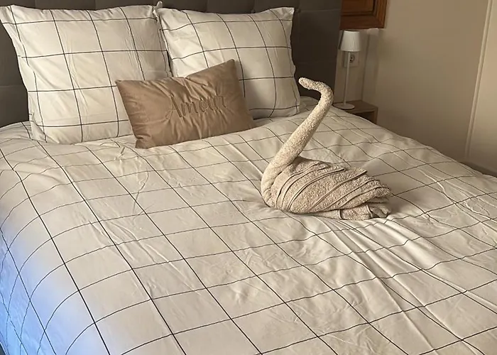 Des Cigogneaux Kintzheim